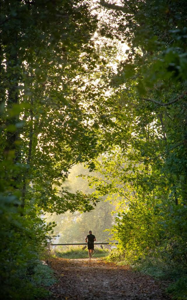 Parc De Cibeins à Misérieux