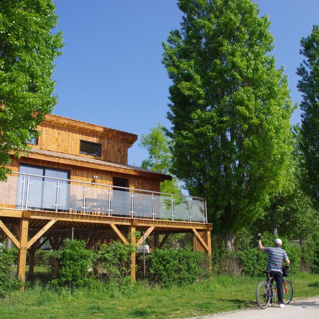 Cabane perchée au Camping Kanopée Village à Trévoux