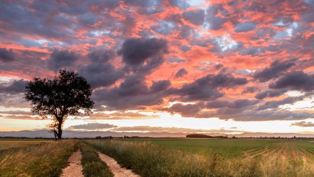 Chemin sur le plateau