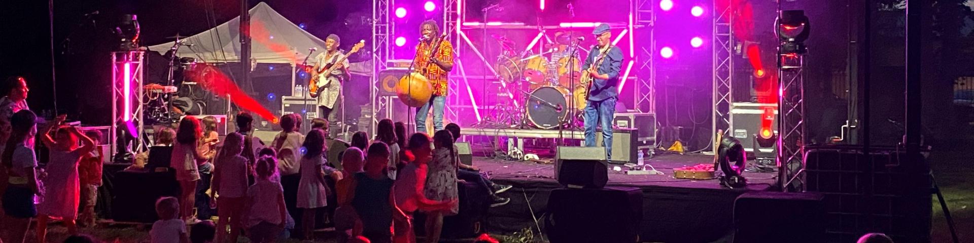 Festival Des vertes et des pas mûres à Fareins